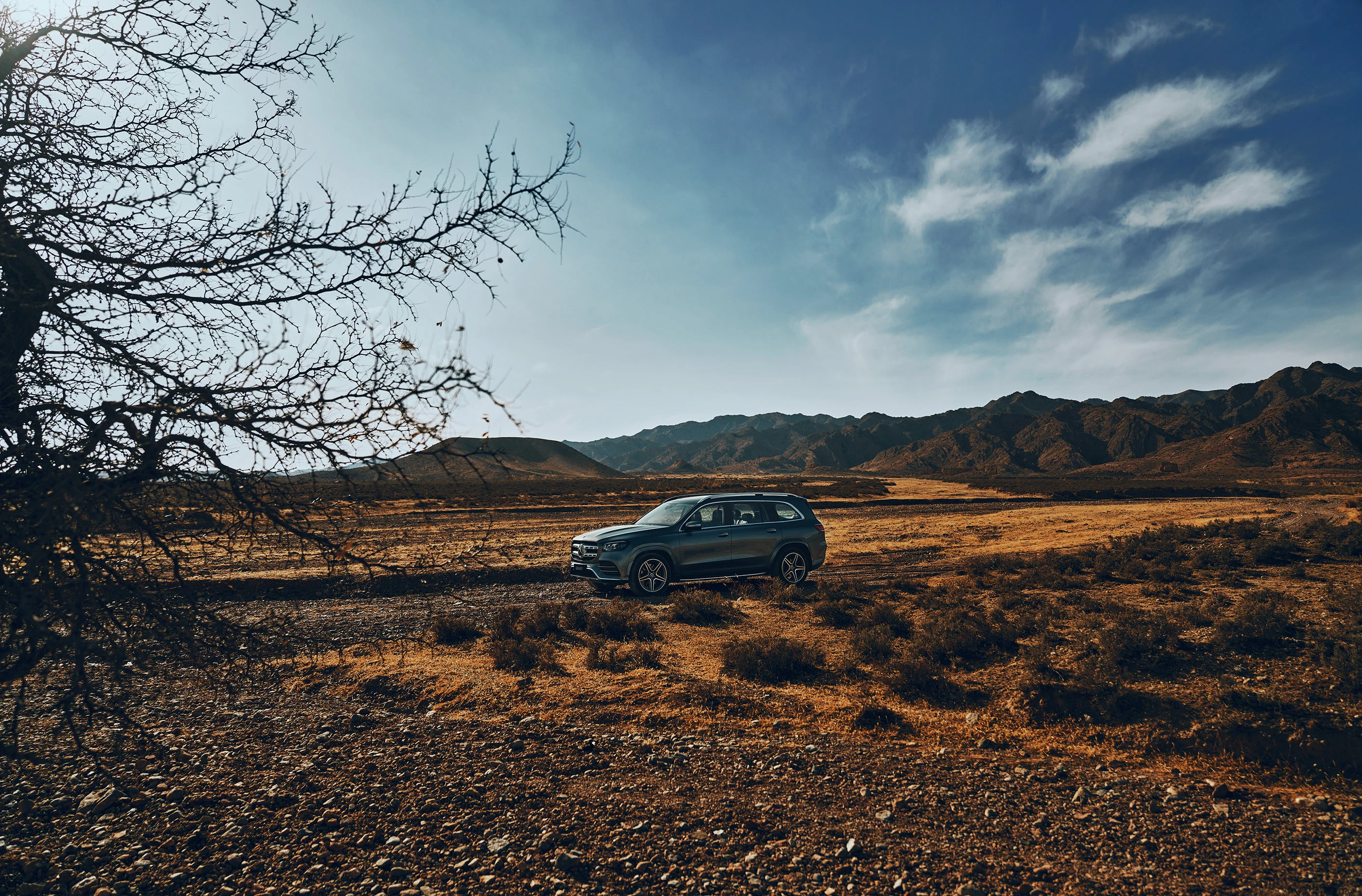 Mercedes-Benz GLS в продаже